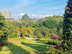 -东莞植物园