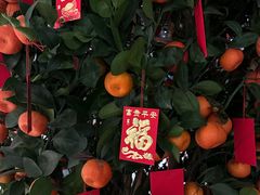 -广州四季酒店