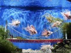 -太平洋海底世界