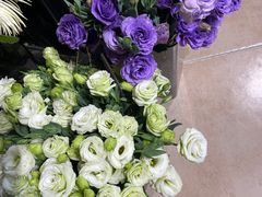 -ChaKo Flora ·茶子花艺 (市北店)