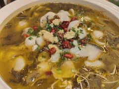 -春茗熙