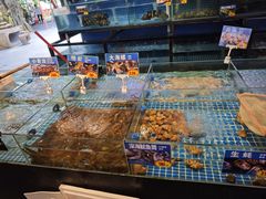 -陶缘一号·四季缘·老字号顺德菜·户外婚礼家宴(西滘店)