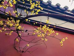 -钱王祠