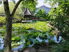-上海醉白池公园