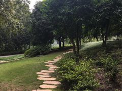-南山植物园