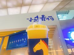 -春丽小马(济南恒隆广场店)