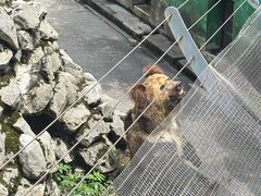 -成都动物园