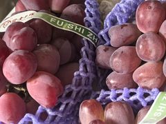 -马陆小张葡萄园农家乐