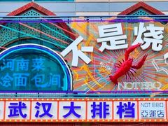 -不是烧烤·武汉大排档(亚运村店)