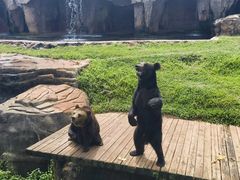 -海南热带野生动植物园