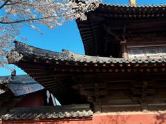 -广富林郊野公园