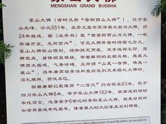 -蒙山大佛景区