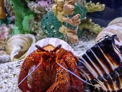 -太平洋海底世界