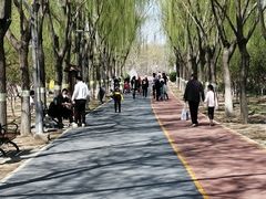 -大兴滨河森林公园