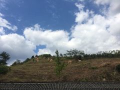 -前童古镇