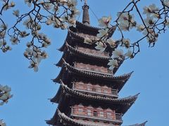 -上海方塔园