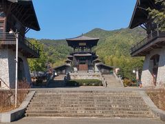 -大唐贡茶院