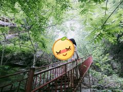 -尧山风景区