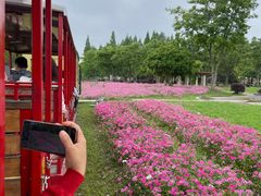 -歌斐颂巧克力小镇