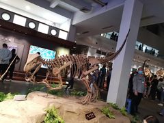 -自贡恐龙博物馆