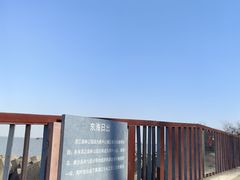 -上海滨江森林公园