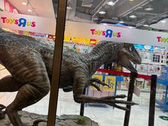 -TOYSRUS玩具反斗城(正大广场店)