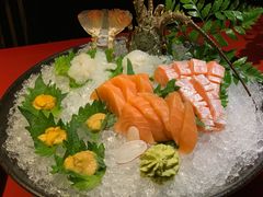 三文鱼-初花·日本料理