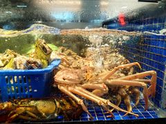 -高佳庄·舟山海鲜(海景旗舰店)