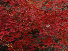 -本溪关山湖风景区