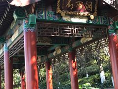 景点-洛龙公园
