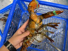 -海味当家·蒸锅海鲜(星海公园店)