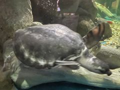 -苏州海洋馆