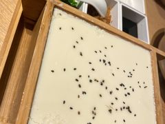 -云天楼国鼎喜宴中心(国鼎店)