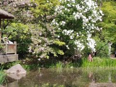 -上海共青森林公园