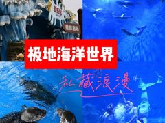-石家庄极地海洋世界