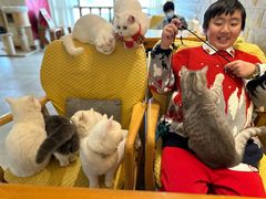 -猫咖时代(中山亭店)