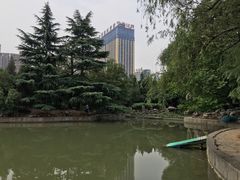 -西苑公园