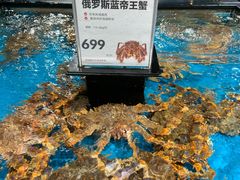 -盒马鲜生(曜一城店)