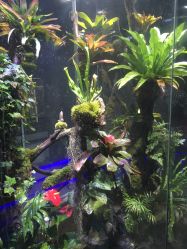 -未来动物城主题公园(正弘城店)