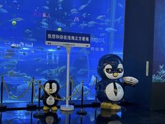 -成都浩海立方海洋公园