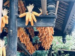 -雅安上里古镇