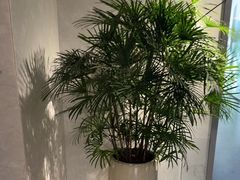 -WEGYMER健萌健身(雅颂居馆)