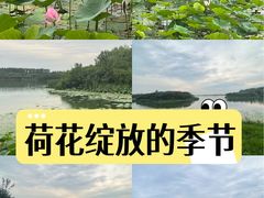 -丁香湖公园