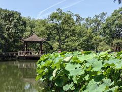 -浙江西子宾馆·瑶园咖啡厅