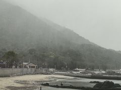 -杨梅坑