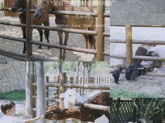 -南京市无想山景区