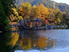 -四明山国家森林公园