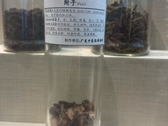 -广东中医药博物馆