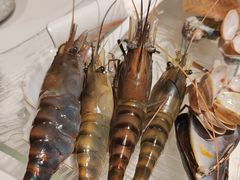 -Thai Basil罗勒叶泰式餐厅(时代天街店)