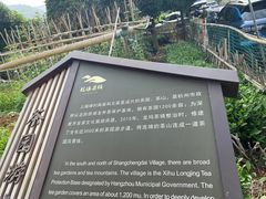 -龙坞茶村